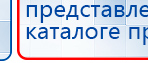 СКЭНАР-1-НТ (исполнение 02.2) Скэнар Оптима купить в Нижнекамске, Аппараты Скэнар купить в Нижнекамске, Скэнар официальный сайт - denasvertebra.ru